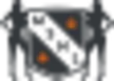 Msnl